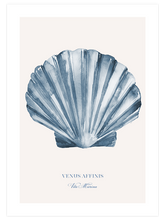 Vita Marina N2 - Art Print